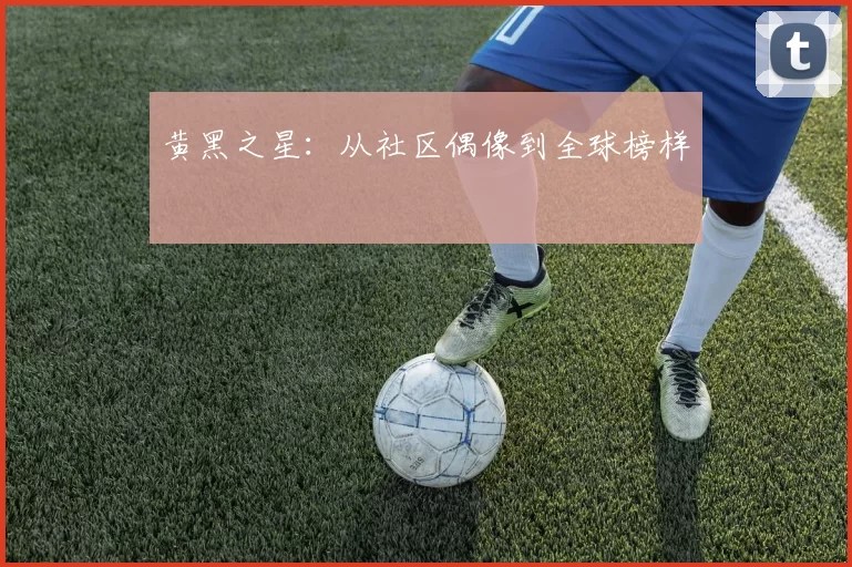 黄黑之星：从社区偶像到全球榜样