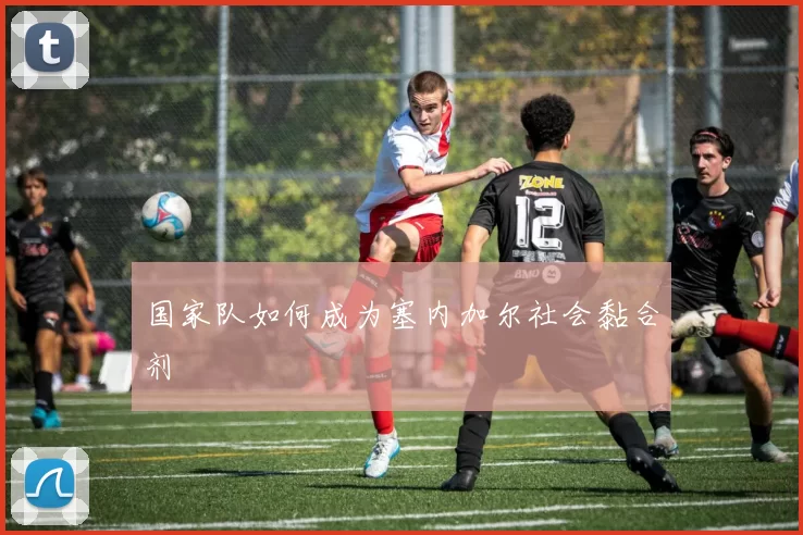 国家队如何成为塞内加尔社会黏合剂