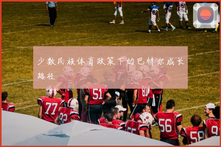 少数民族体育政策下的巴特尔成长路径