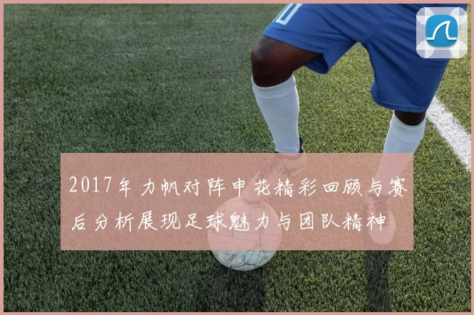 2017年力帆对阵申花精彩回顾与赛后分析展现足球魅力与团队精神