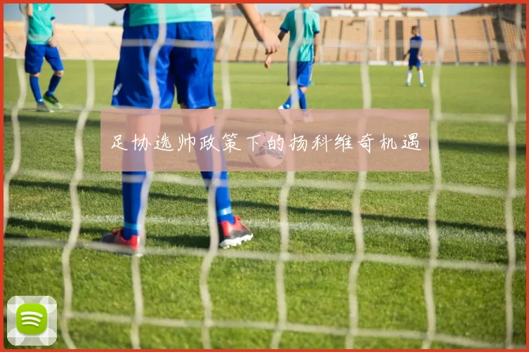 足协选帅政策下的扬科维奇机遇