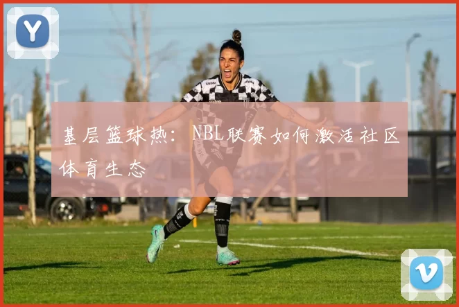 基层篮球热：NBL联赛如何激活社区体育生态