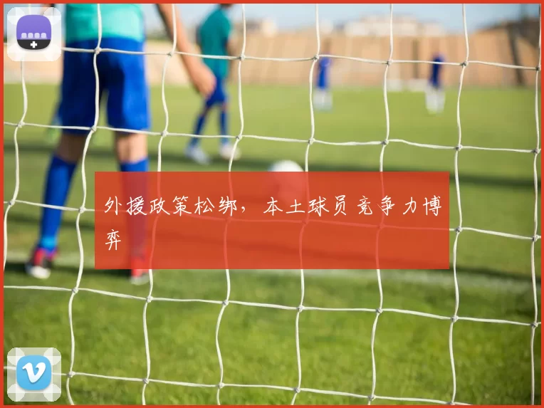 外援政策松绑，本土球员竞争力博弈