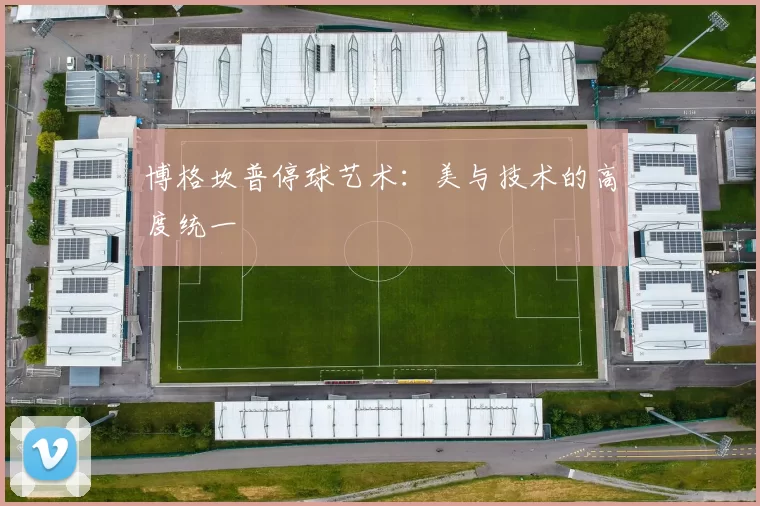 博格坎普停球艺术：美与技术的高度统一