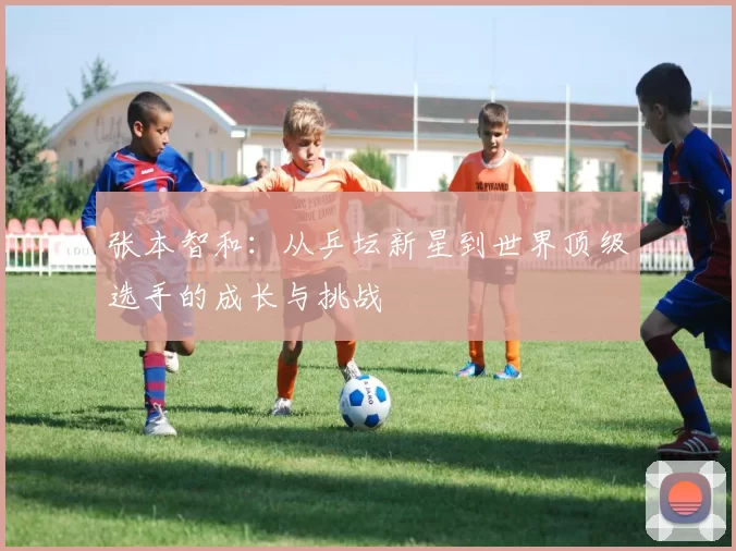 张本智和：从乒坛新星到世界顶级选手的成长与挑战