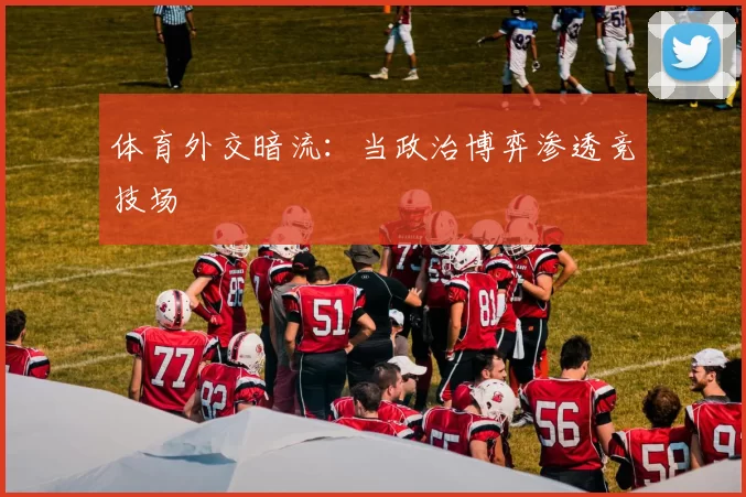 体育外交暗流：当政治博弈渗透竞技场